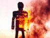 StudioCanal launches worldwide Wicker Man appeal